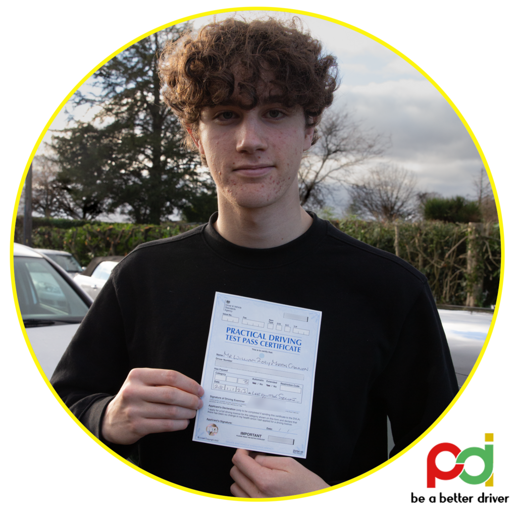 Will - passed with 3 minors